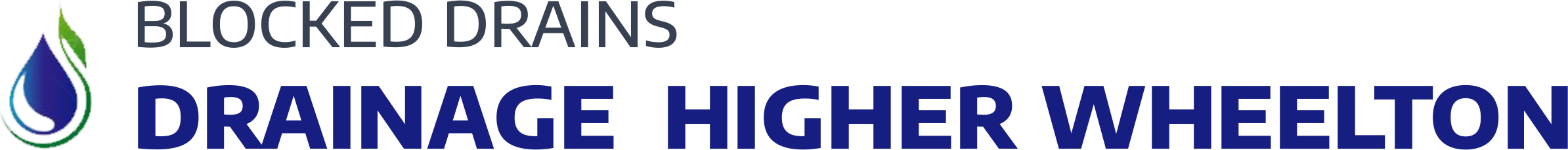 website logo